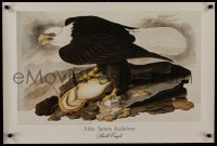 7r059 JOHN JAMES AUDUBON 22x33 art print 1993 incredible close-up art of intense Bald Eagle w/prey!