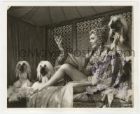 7s402 DOLORES GRAY signed deluxe 8.25x10 still 1955 in wild outfit with three dogs from Kismet!