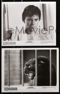 7w746 CAT PEOPLE presskit w/ 13 stills 1982 sexy Nastassja Kinski, Malcolm McDowell, Paul Schrader