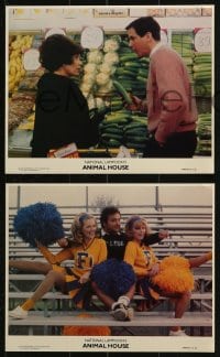 7x260 ANIMAL HOUSE 4 8x10 mini LCs 1978 John Belushi w/ cheerleaders, Tim Matheson, frat house!