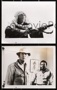 7x349 ASHANTI 19 8x10 stills 1979 great images of Michael Caine, Peter Ustinov, Beverly Johnson!