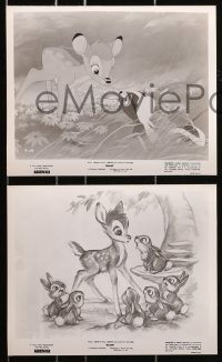 7x545 BAMBI 8 8x10 stills R1966 Walt Disney, great images from animated cartoon deer classic!