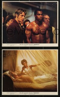 7x165 MANDINGO 6 8x10 mini LCs 1975 Ken Norton, Brenda Sykes, Richard Fleischer interracial romance!