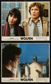 7x216 WOLFEN 6 8x10 mini LCs 1981 Albert Finney, Gregory Hines, there is no defense vs werewolves!