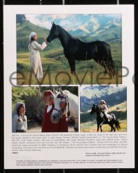 7x256 YOUNG BLACK STALLION 5 color 8x10 stills 2003 Walt Disney, greatest story of friendship ever told!