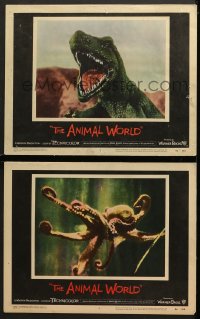 7z791 ANIMAL WORLD 2 LCs 1956 Irwin Allen nature documentary, great images of octopus and dinosaur!