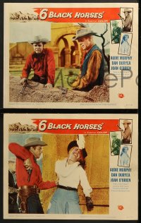 7z039 6 BLACK HORSES 8 LCs 1962 Audie Murphy, Dan Duryea, sexy Joan O'Brien, 1 was deadly to them!