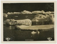 8c045 S.O.S. EISBERG #6 German LC 1933 Fanck, incredible image of man on iceberg with polar bears!