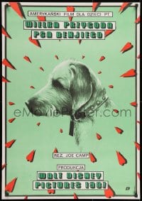 8t489 BENJI THE HUNTED Polish 27x38 1989 Skorwider art of classic Disney Border Terrier!