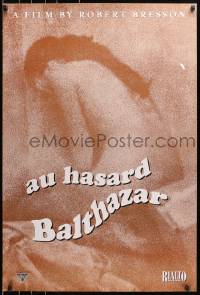 8w072 BALTHAZAR 1sh R2003 Bresson's Au Hasard Balthazar, depressing image of Anne Wiazemsky!