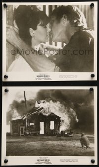 9a969 NEVADA SMITH 2 8x10 stills 1966 great images of Steve McQueen and Pleshette, huge fire!