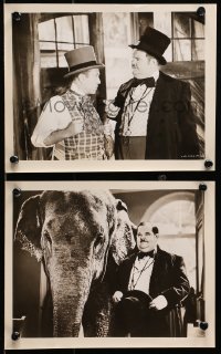 9a998 ZENOBIA 2 8x10 stills 1939 great images of Oliver Hardy with Harry Langdon and cool elephant!