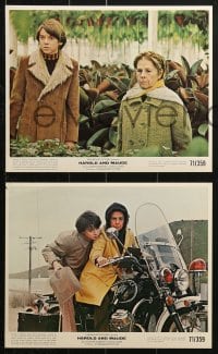 9a149 HAROLD & MAUDE 7 color 8x10 stills 1971 Ruth Gordon & Bud Cort, Ashby classic!