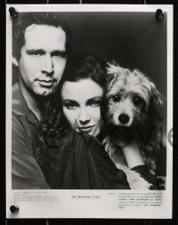9a690 OH HEAVENLY DOG 6 8x10 stills 1980 Chevy Chase, Benji, Jane Seymour, great canine images!