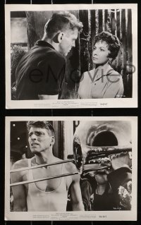 9a586 TRAPEZE 8 8x10 stills 1956 Burt Lancaster, Tony Curtis, Gina Lollobrigida, Thomas Gomez!