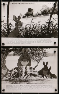 9a510 WATERSHIP DOWN 9 8x10 stills 1978 based on Richard Adams' best seller, cartoon rabbits!