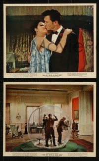 9a187 SPY WITH A COLD NOSE 4 color English FOH LCs 1967 spy Laurence Harvey & sexy Daliah Lavi!
