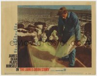 9b412 JAMES DEAN STORY LC #6 1957 great image of him smoking & standing in cow feeding trough!
