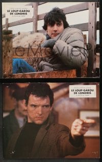 9c127 AMERICAN WEREWOLF IN LONDON 7 French LCs 1981 John Landis, David Naughton, Griffin Dunne!