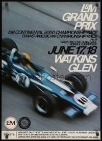9g272 L & M GRAND PRIX 18x25 special poster 1973 great image of a Formula 5000 car on the track!