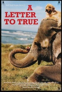 9g276 LETTER TO TRUE 24x36 special poster 2004 Bruce Weber, cool image of dog sitting on elephant!
