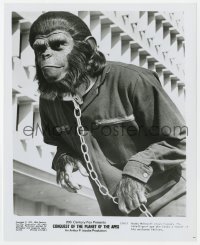9h274 CONQUEST OF THE PLANET OF THE APES 8x10 still 1972 c/u of chained Roddy McDowall as Caesar!