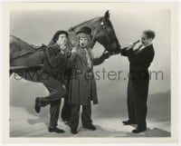 9h312 DAY AT THE RACES 8x10 still 1937 Groucho, Chico & Harpo Marx clown around w/Pluggo the horse!
