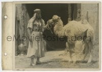 9h862 SON OF THE SHEIK 8x12 key book still 1926 great image of Rudolph Valentino with real camel!