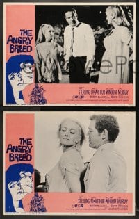 9k051 ANGRY BREED 8 LCs 1968 bikers buck the establishment, Jan Sterling, James MacArthur!