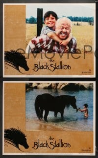 9k677 BLACK STALLION 4 LCs 1979 Kelly Reno, Teri Garr, Mickey Rooney, great horse images!