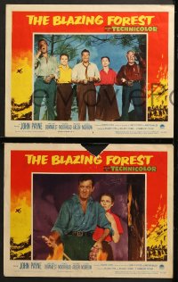 9k083 BLAZING FOREST 8 LCs 1952 lumberjack John Payne, cool border art battling wild forest fire!
