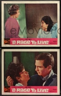 9k354 RAGE TO LIVE 8 LCs 1965 Suzanne Pleshette, Peter Graves, from John O'Hara's novel!