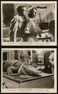 9s920 ALLIGATOR PEOPLE 2 8x10 stills 1959 Beverly Garland & Richard Crane, cool reptile!