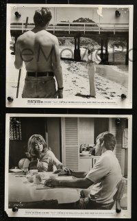 9s634 BIG BOUNCE 6 8x10 stills 1969 Ryan O'Neal & Leigh Taylor-Young!