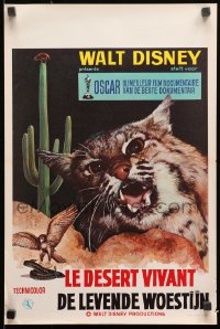 9t564 LIVING DESERT Belgian R1960s first feature-length Disney True-Life adventure, angry cat!