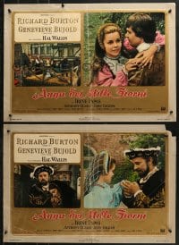 9t867 ANNE OF THE THOUSAND DAYS group of 5 Italian 18x27 pbustas 1970 Burton, Bujold as Boleyn!