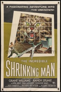 1b456 INCREDIBLE SHRINKING MAN 1sh 1957 Jack Arnold classic, wonderful Reynold Brown sci-fi art!