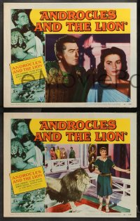 1d439 ANDROCLES & THE LION 6 LCs 1952 Victor Mature, beautiful Jean Simmons, border art of big cat!