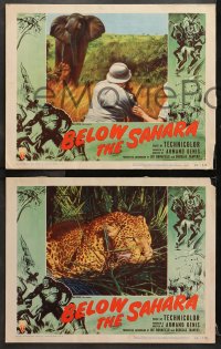 1d725 BELOW THE SAHARA 3 LCs 1953 great giant African ape border art stolen from Mighty Joe Young!