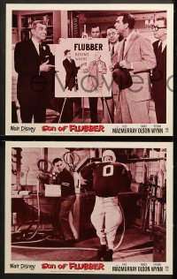 1d279 SON OF FLUBBER 8 LCs R1974 Walt Disney, absent-minded professor Fred MacMurray!