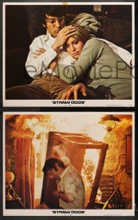 1d795 STRAW DOGS 3 LCs 1972 directed by Sam Peckinpah, Dustin Hoffman & Susan George!