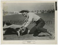 1h329 DON MURRAY signed 8x10 still 1956 intense close up on ground with bull from Bus Stop!
