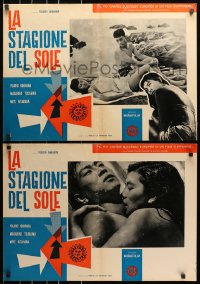 1t870 CRAZED FRUIT group of 12 Italian 19x26 pbustas 1959 Nakahira Kurutta Kajitsu, Japanese lovers!