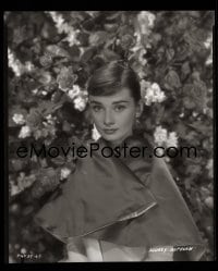 1x006 AUDREY HEPBURN 8x9.5 negative 1950s wonderful portrait from her famous photography sitting!