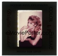 1x704 BRIGITTE BARDOT 35mm slide 1960s posed portrait of the sexy French star by Sam Levin!