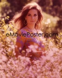 1x274 BOB & CAROL & TED & ALICE group of 3 4x5 transparencies 1969 Natalie Wood, Gould & Cannon!