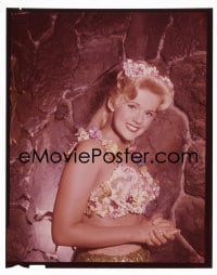 1x336 CONNIE STEVENS 4x5 transparency 1960s sexy portrait in lei & grass skirt from Hawaiian Eye!