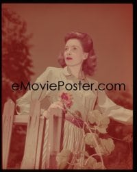 1x338 DEBORAH KERR 4x5 transparency 1950s great close up holding flower by picket fence!