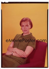 1x217 ROMY SCHNEIDER 5x7 transparency 1960s great seated portrait of the pretty Austrian actress!