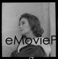 1x184 JEAN SIMMONS gropu of 4 2x2 negatives 1960s head & shoulders portraits of the leading lady!